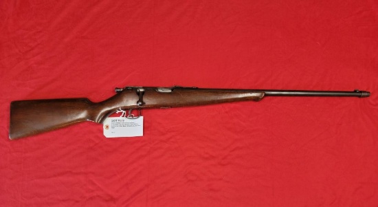Savage Arms Corp Model Savage Sporter 22LR Only Rifle