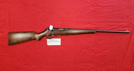 Savage Arms Corp Model Savage Sporter22LR Rifle