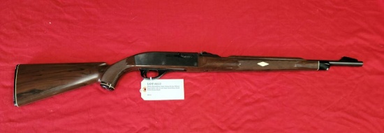 Remington Nylon 66 22 LR Rifle