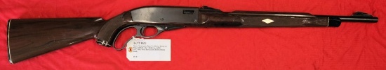 Remington Arms Co Model Nylon 76 22LR Rifle
