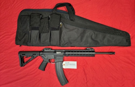 S&W Model M&P 15-22 22LR Rifle