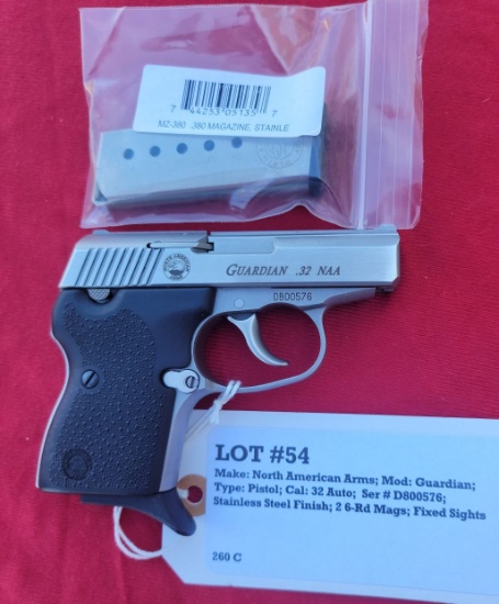 North American Arms Model Guardian 32 NAA Pistol