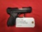 Ruger Model SR22P