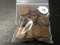 Bag of Assorted (53) Wheat Cents