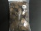 Lot of 300 Wheat Cents