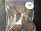 Lot of (50) Full date Indian Cents