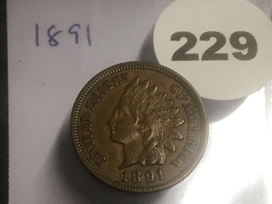 1891 Indian Cent