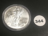 2013 American Silver Eagle