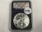 2006 Reverse Proof American Silver Eagle