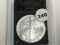 2007 American Silver Eagle Unc