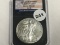 2011-S Burnished American Eagle Unc