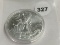 2014 American Silver Eagle