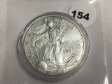 2007 American Silver Eagle