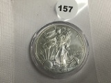 2015 American Silver Eagle
