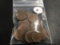 Bag of 36 Canadian pennies