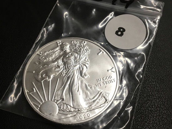 2019 American silver eagle