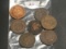 Bag of 7 Indian head Cents