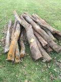16 Aged Hedge Post