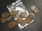 Bag of 20 Indian Head cents