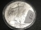 2009 Silver Eagle