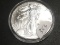 2014 Silver Eagle