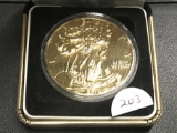 2010 Silver Eagle 24 K gold plated in case