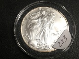 2005 Silver Eagle