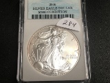 2006 Silver Eagle