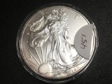 2014 Silver Eagle