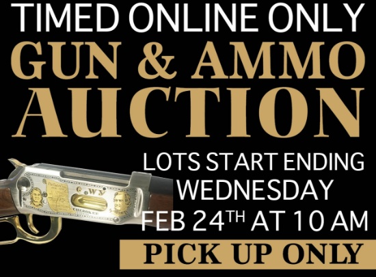 Timed Online Only Gun & Ammo Auction