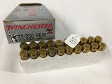 Winchester 22-250 Rem. 64 gr. (full box)