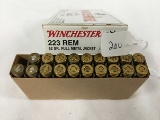 Winchester 223 Rem., 52 gr., (19 shells)