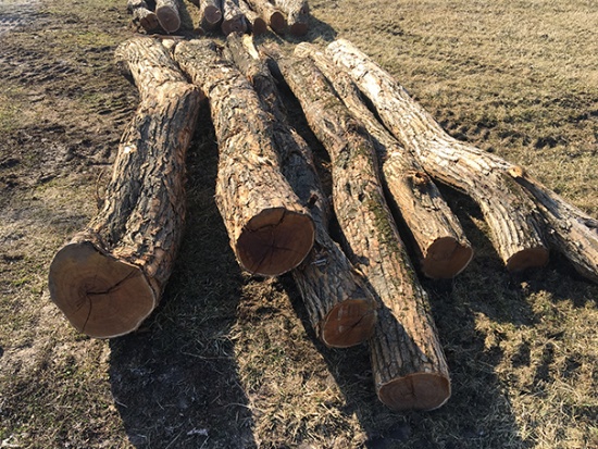 (6x$) 11-13 ft corner posts