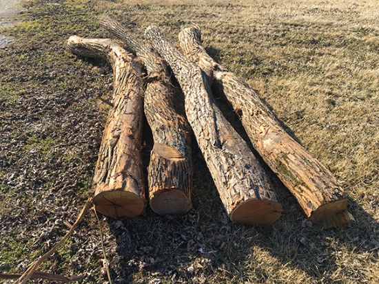 (4x$) 10-11 ft. corner posts