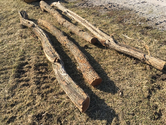 (4x$) 7-11 ft. line posts