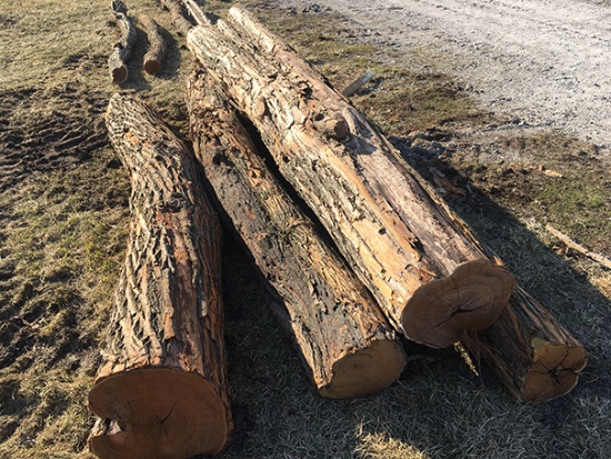(4x$) 9-10 ft. corner posts