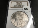 1896 Morgan Dollar NGC MS64