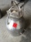 De Laval Stainelss Steel Milking Bucket
