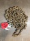 10ft Chain