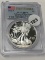 2013-W Silver Eagle PCGS MS70 Enhanced Mint State