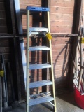 Werner 6ft Step Ladder