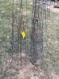 Tomato Cages