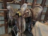 2 Saddles