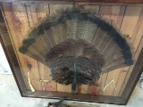 Framed Turkey Fan and Beards