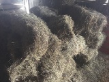 Lot of 19 small square bales of grass hay, been in barn a few years