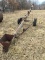 Salvage grain auger