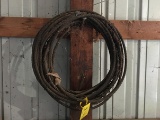 Cable