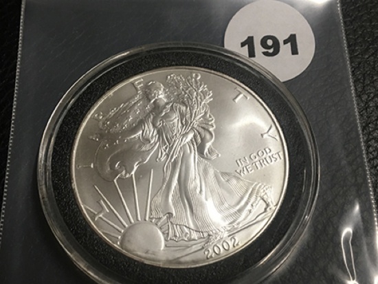 2002 Silver Eagle