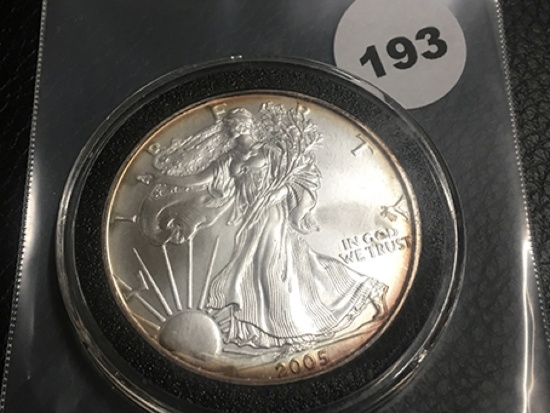 2005 Silver Eagle