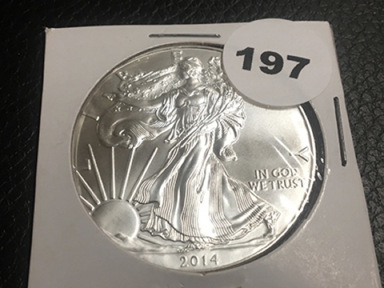 2014 Silver Eagle